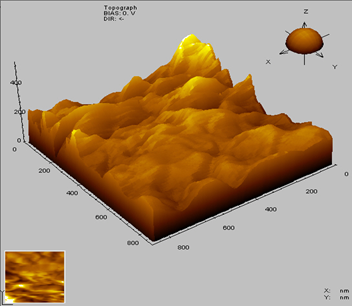 NF Surface